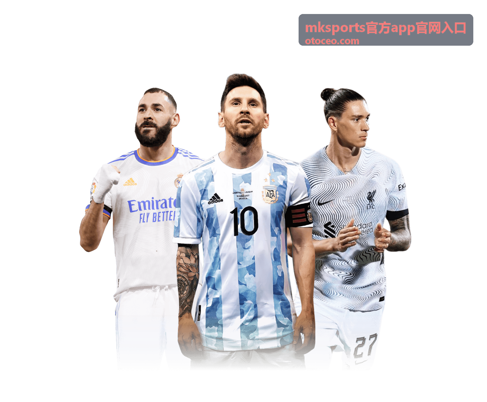mksports官方app官网入口入口核对示意界面