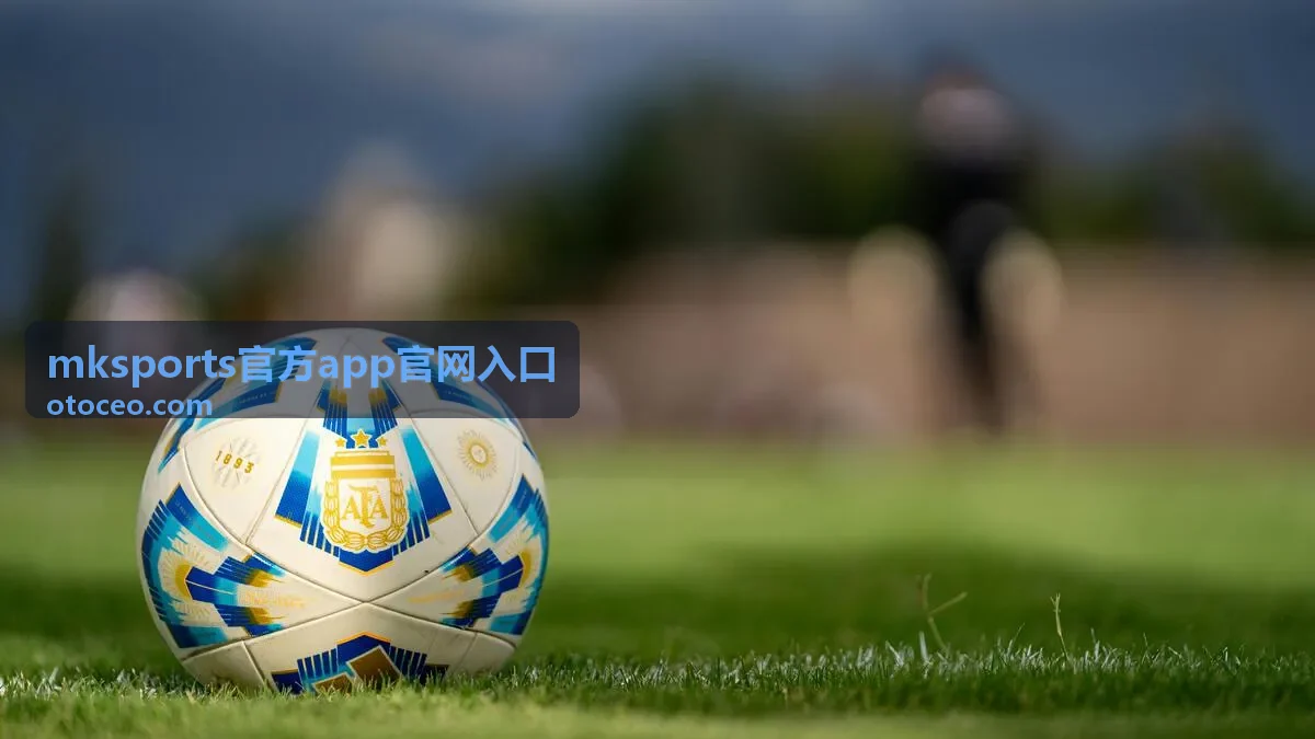 mksports官方app官网入口 密码与验证信息更新流程示意